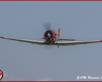 TSR Watermark - 0435